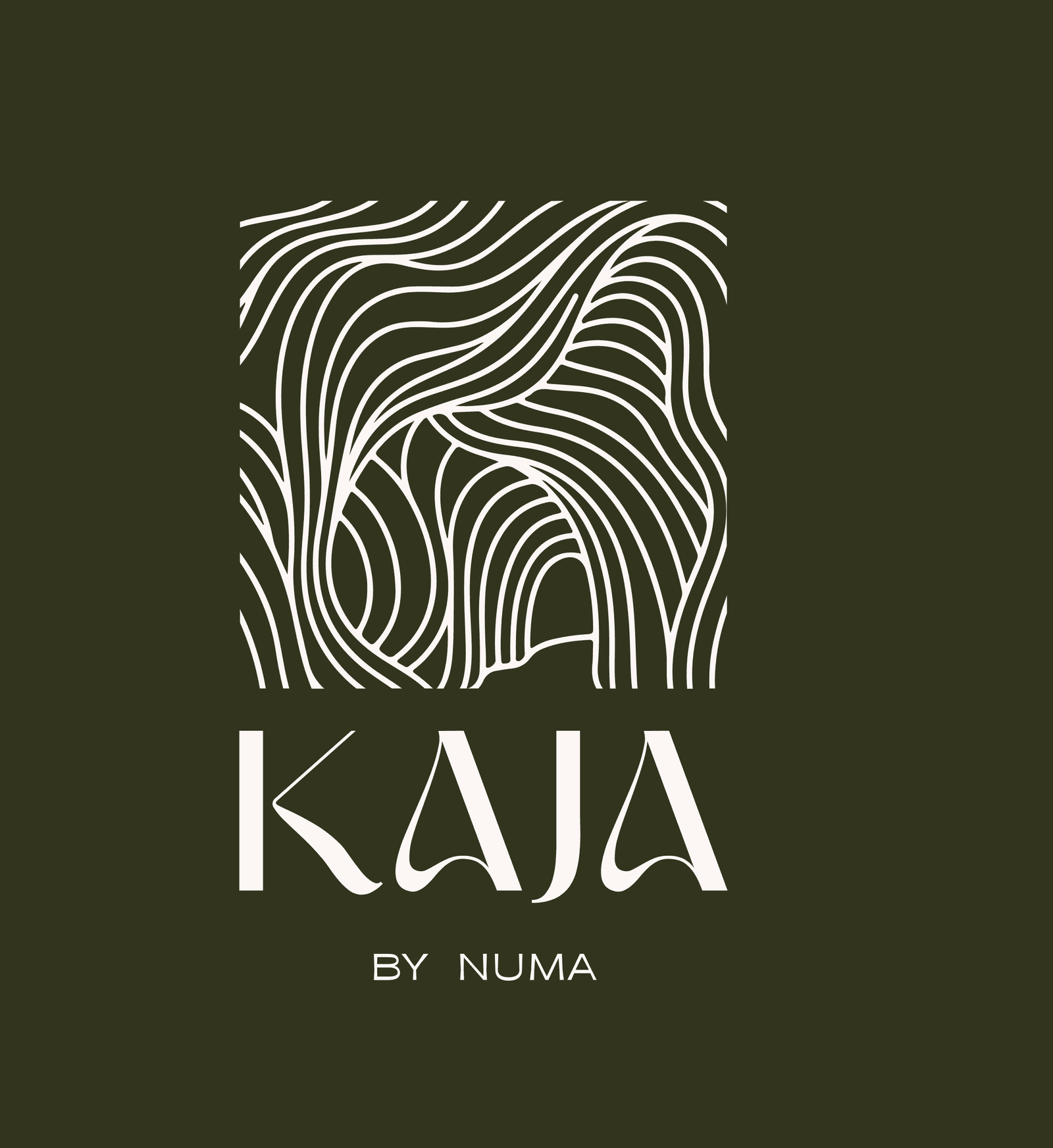 KAJA lockup: the flowing-line logomark above the Carmine logotype and "by Numa", cream on olive